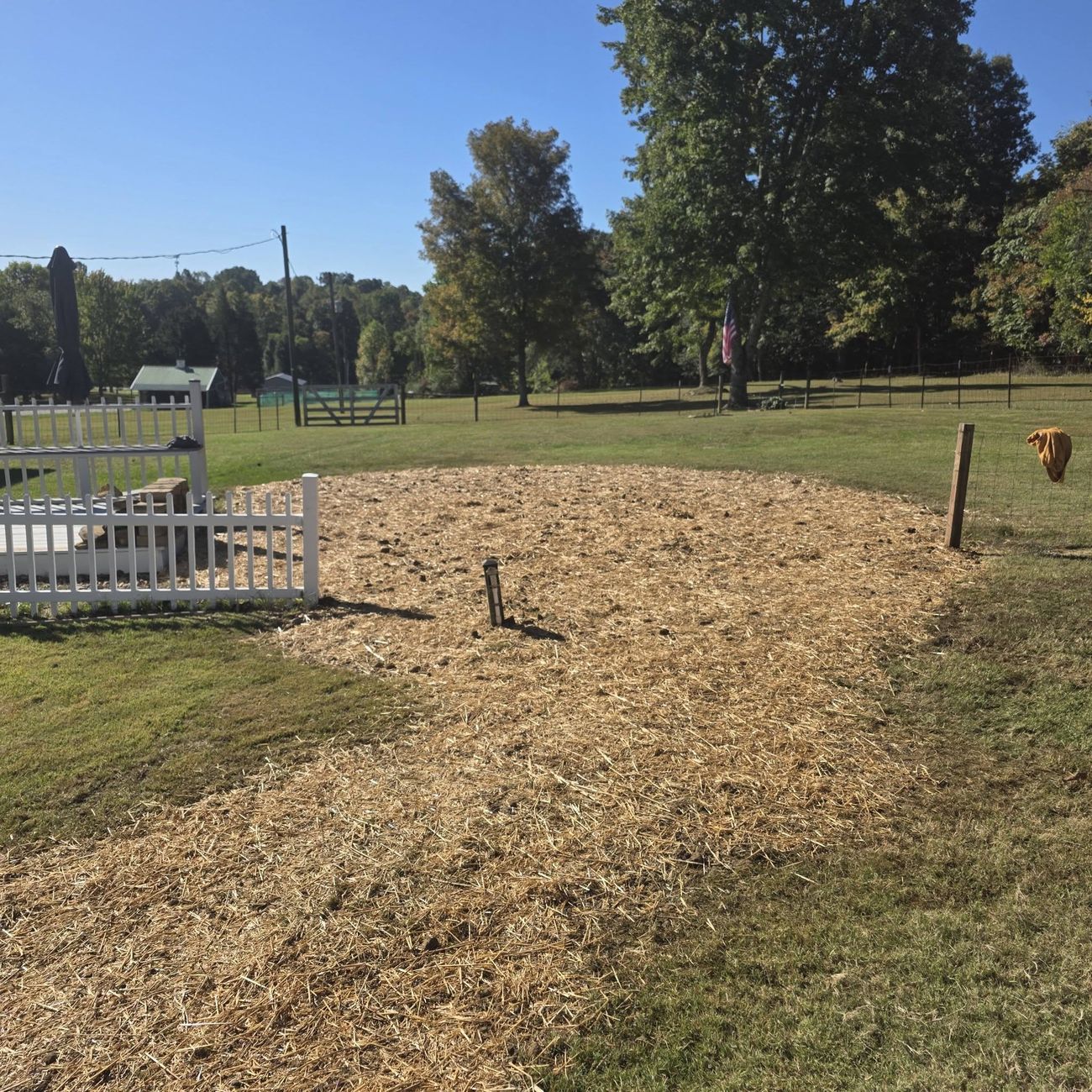 A yard reseeded and restored after drainage work